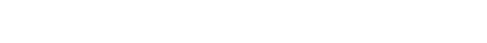 Logo Footer
